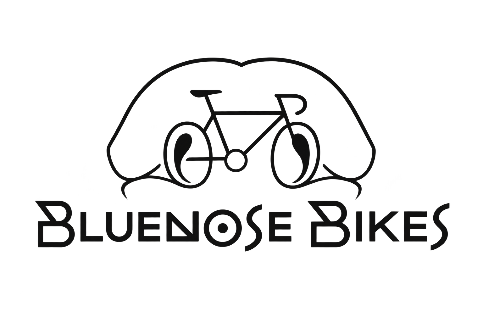Blue Nose Bikes